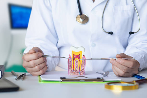 Best Emergency Dental Care for Broken or Chipped Teeth in Paisley, FL